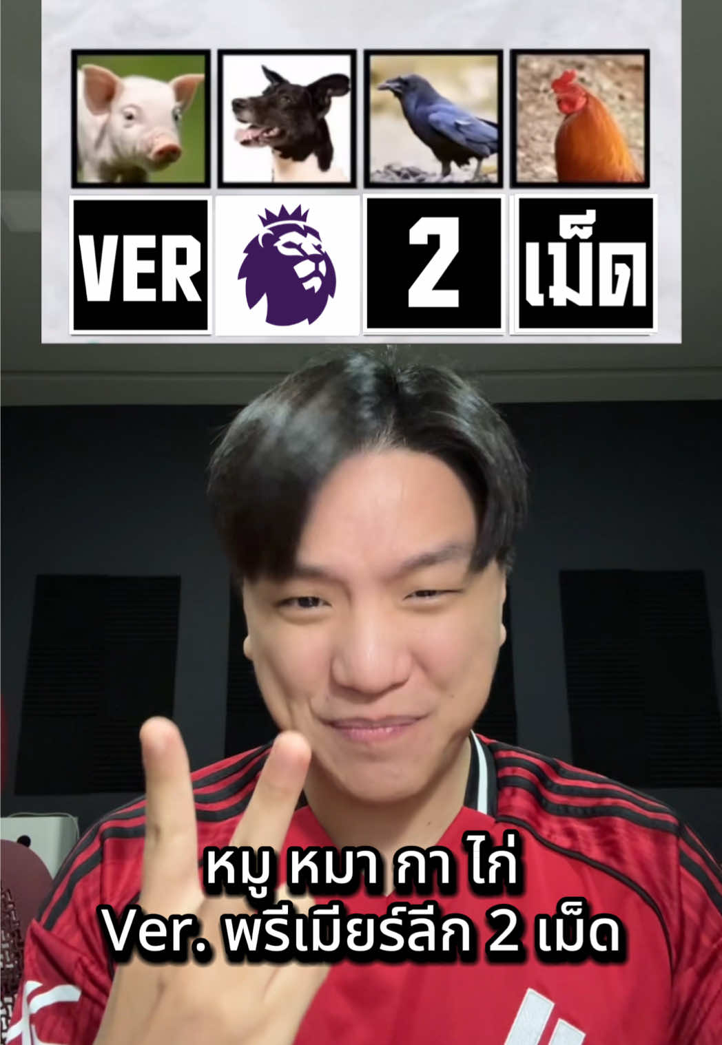 หมูหมากาไก่ Ver. พรีเมียร์ลีก 2 เม็ด #พรีเมียร์ลีก #แมนยู #อาร์เซนอล #ลิเวอร์พูล #ไอจง 