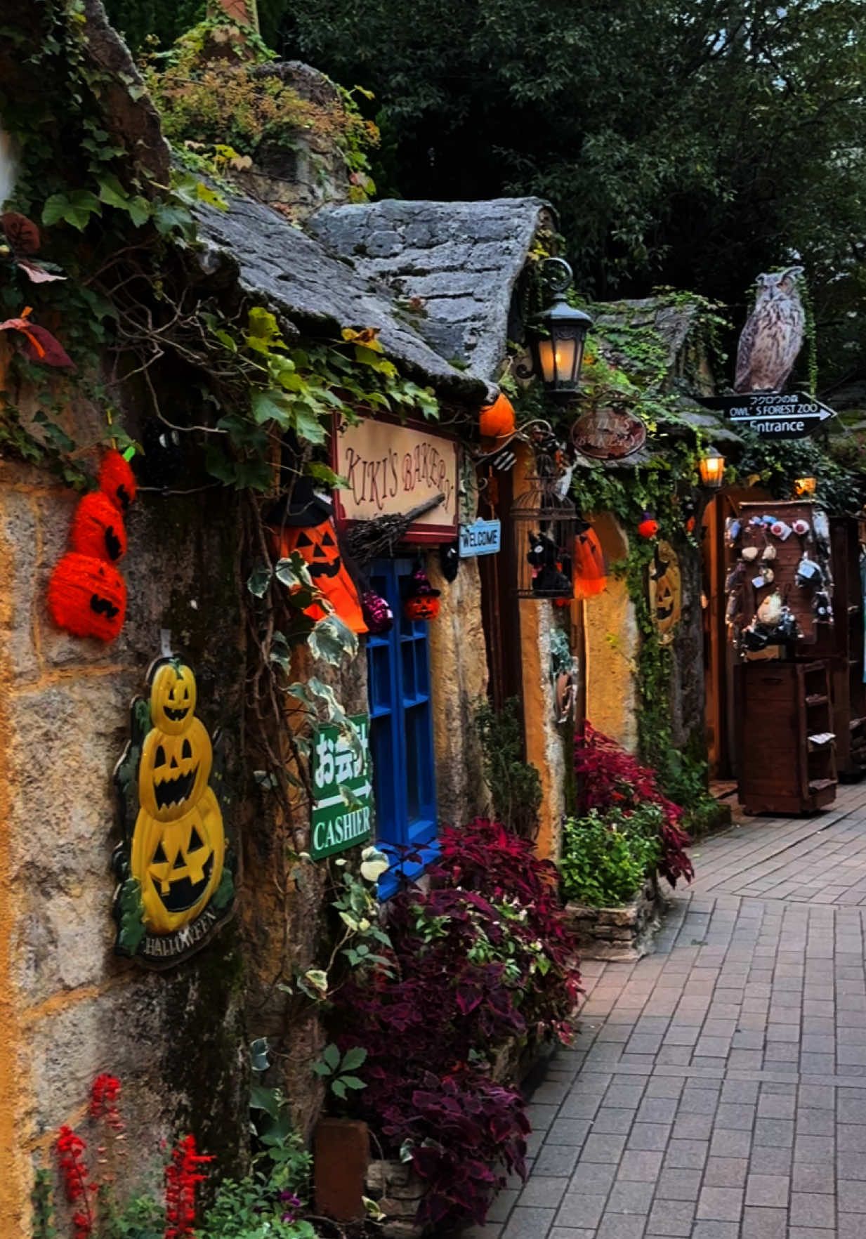 🎃 Happy Halloween — Yufuin Floral Village 🎃 ✎ ̼  หมู่บ้านเทพนิยายยูฟุอินฟลอร์รัลเดือนตุลาคมในธีมฮาโลวีน 🧡 #Yufuin #YufuinFloralVillage #Halloween #Japan #เที่ยวญี่ปุ่น 