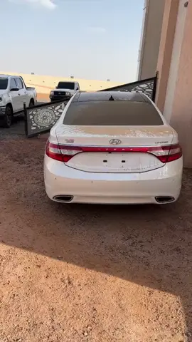 #سبها_ليبيا_الجنوب_الليبي ##الضراري_اكل_لاباس🤪🔥 #