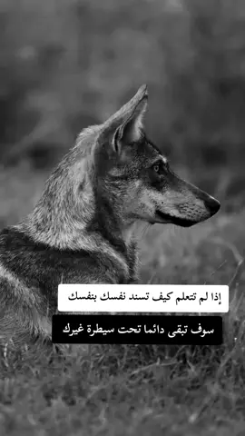 #fyp #F #f #شلفاوة_والحلاوة🔥 #شعب_الصيني_ماله_حل😂😂 