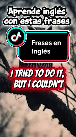 Aprende inglés con estas frases #learnenglish #aprendeingles #fyp 