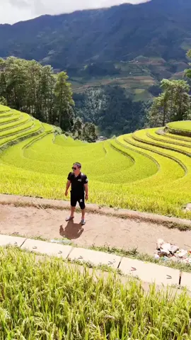 i am alone on Mu Cang Chai