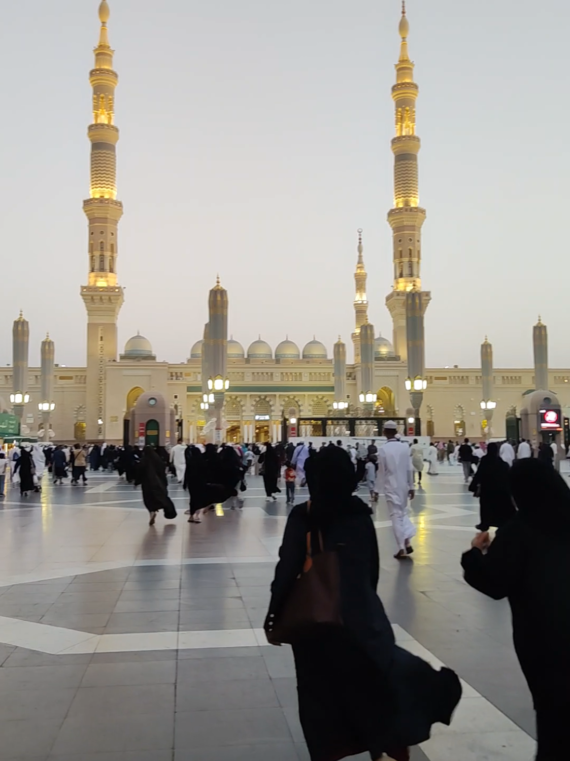 Beauty of Masjid Nabwi SAW at Maghrib #fyp #foryou #viral #islamic_video #travel 