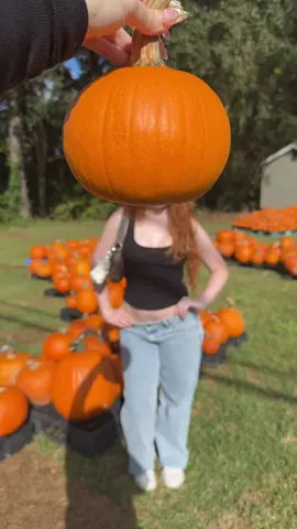 PUNKINNN #pumpkinpatch 