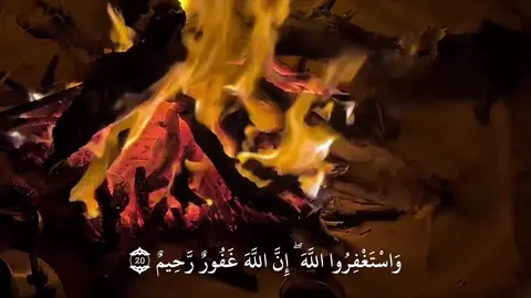 وَاسْتَغْفِرُوا اللَّهَ ۖ إِنَّ اللَّهَ غَفُورٌ رَّحِيمٌ {٢٠} #عبدالله_الموسى #abdullah_almusa #راحه_نفسيه #ياسر_الدوسري #بدر_التركي 