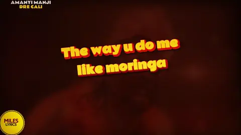 @Miles Lyrics ✍️✍️ decided we sing all together with the right lyrics #fyp #AmanyiManji