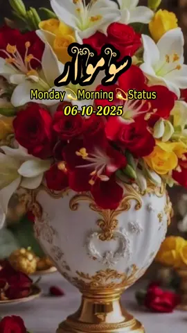 Good Morning,Subah Bakhair,سوموار کی صبح مبارک ہو,Status,Dua🤲❤️🤲❤️🤲.        #goodmorning#foryoupagе#fyp#standwithkashmire#صباح_الخير