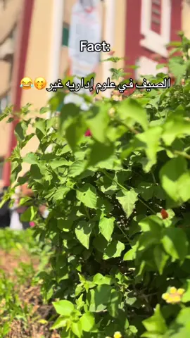 مين هنا في علوم إداريه بني سويف؟🤍😂 #الشعب_الصيني_ماله_حل😂😂😂#fypシ゚#explor#fyppppppppppppppppppppppp