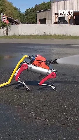 Officials say the $100,000 bot could save lives by handling high-risk fireground situations without putting humans in harm’s way. #fox5newyork #newyork #longisland #robots #firefighters
