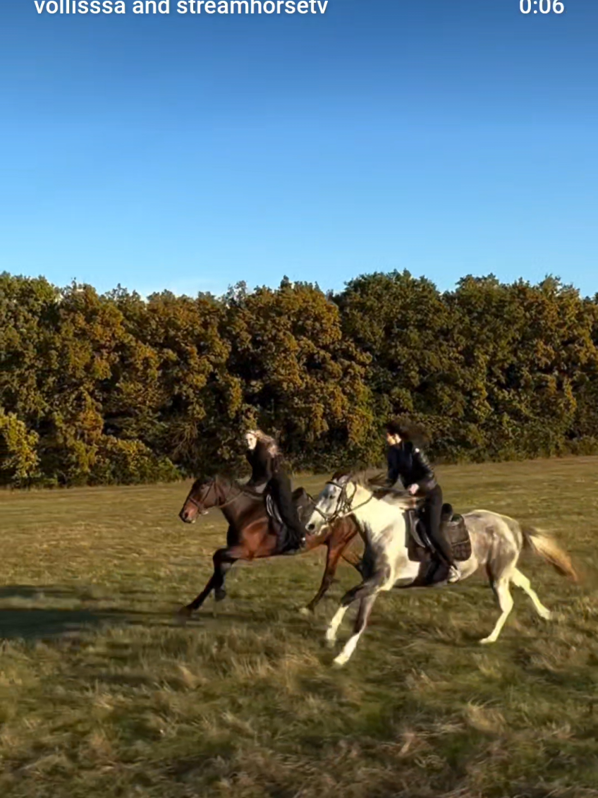 feel the adrenaline rush  🥰🎥 @vollisssa #horselove #horse #horsepower #pov #sunset 