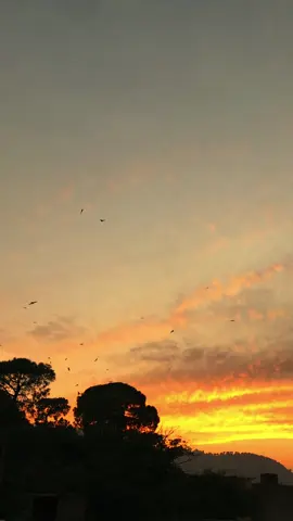 *کاش آ جاتے وہ مجھے جان سے گزرتے دیکھے*💔🥹 *اس کی خواہش تھی کبھی مجھ کو بکھرتے دیکھے*🥹               *وہ سلیقے سے ہوئے ہم سے گریزاں ورنہ*❤‍🩹               *لوگ تو صاف محبت میں کرتے دیکھے*💔🥹 *وقت ہوتا ہے ہر ایک زخم کا مرہم حمزہ ۔۔۔*❤‍🩹🥹 *پھر بھی کچھ زخم تھے ایسے جو نہ بھرتے دیکھے*🥹 ✍🏻🩵💫 #brokenheart💔sad_felling😞😞 #unfrezzmyaccount #viralditiktok🔥 