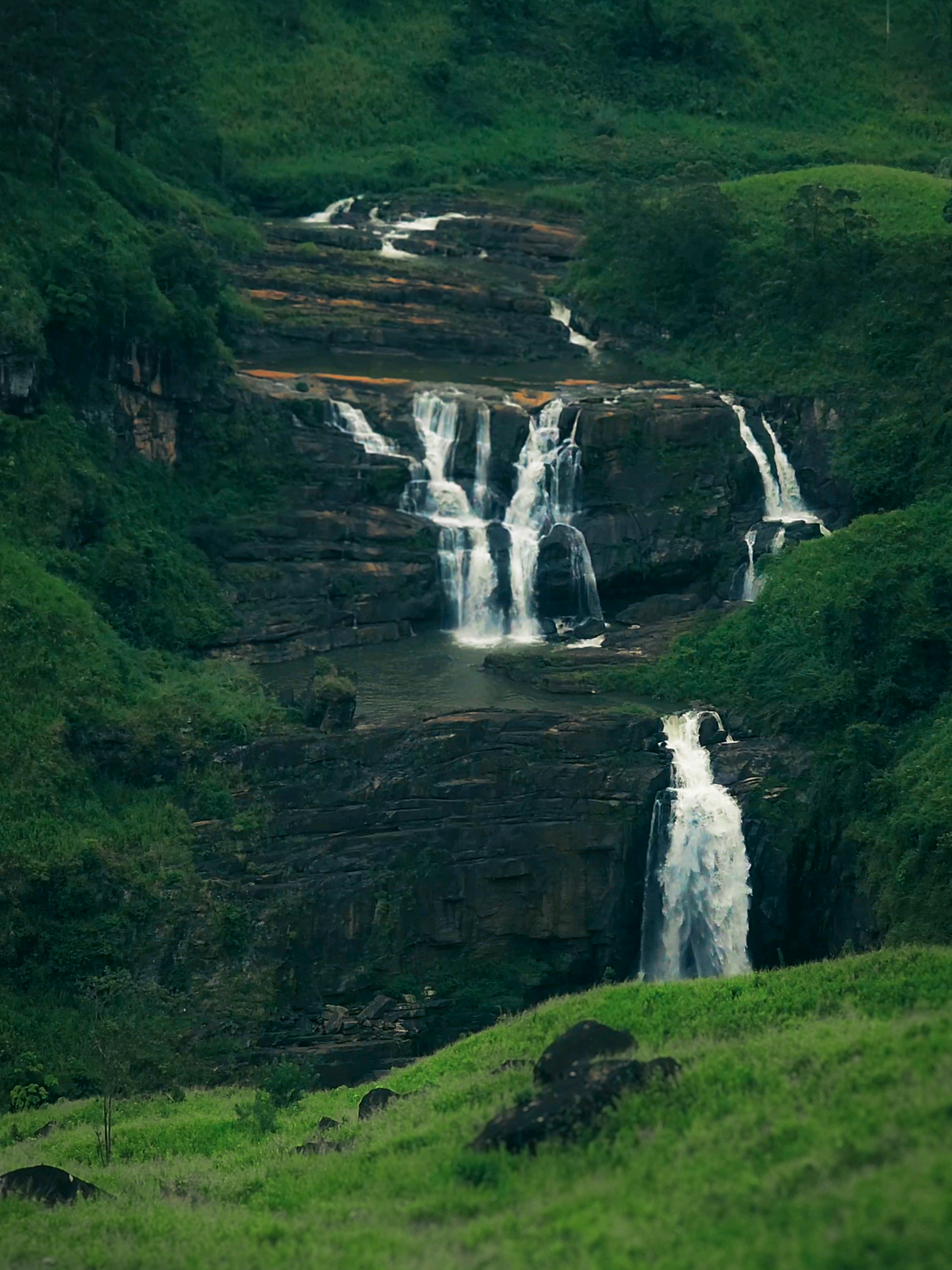 තලවකැලේ කොමලිය.. 