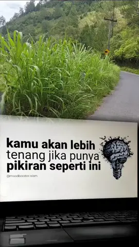 #CapCut 
