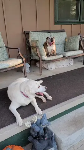 We are just watching the world go by, and enjoying life.  😉  We would like to thank everyone and following the girls.  Much love ❤️ and God bless. 