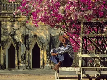 နွဲ့တင် - စိုင်းထီးစိုင် #fyp #foryoupage #lyrics #နွဲ့တင် #စိုင်းထီးဆိုင် 