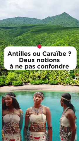 Beaucoup disent “les Caraïbes” pour parler des Antilles… mais c’est pas tout à fait la même chose  Découvre en quelques secondes la vraie différence entre les deux. Partage avec tes amis et famille. #géographie #antilles #caraibes 