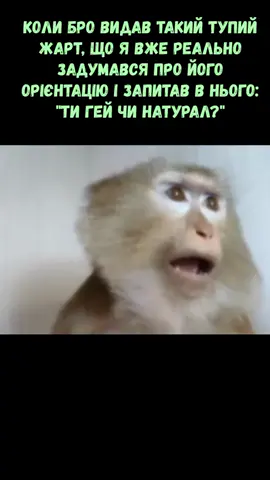 універсальний солдат  #мемиукраїнською #memes #vexonoriginal #vexon 