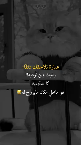عبارة تلاحقك دايما #عبارات_جميلة_وقويه😉🖤 #fyp #yo #أعادة_نشر🔃 #اكسبلورexplore 