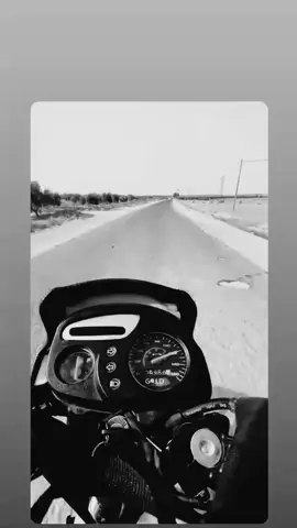 #جلمةالبية❤️‍🔥✌️ 