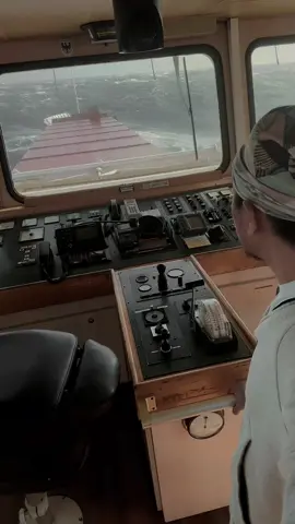 😵 #Seaman #lifeonboard 
