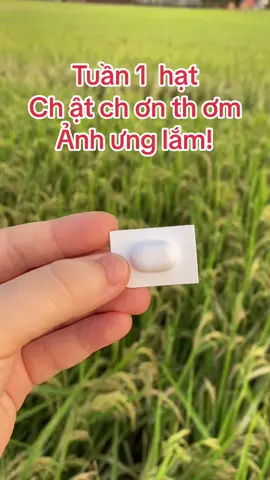 Ảnh mê ảnh cưng#yoni 