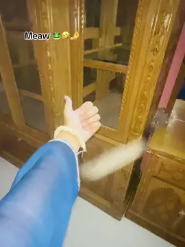 Meaw 🤣🤌🐸#fyp #viralvideo #tiltok #voice #fypシ゚ 