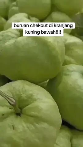 jambu Kristal tanpa biji 1kg #Buahjambukristal #jambukristaltanpabiji 