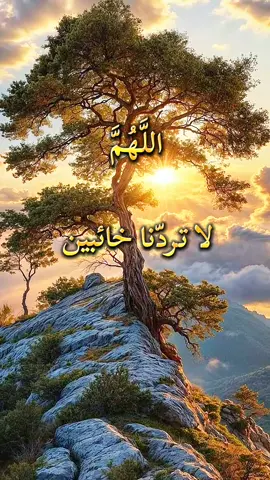 دعاء 🤲 اللَّهُمَّ لا تردّنا خائبين#دعاء #دعاء_يريح_القلوب #ارح_سمعک_وقلبک #صلوا_على_رسول_الله #اللهم_صلي_على_نبينا_محمد 