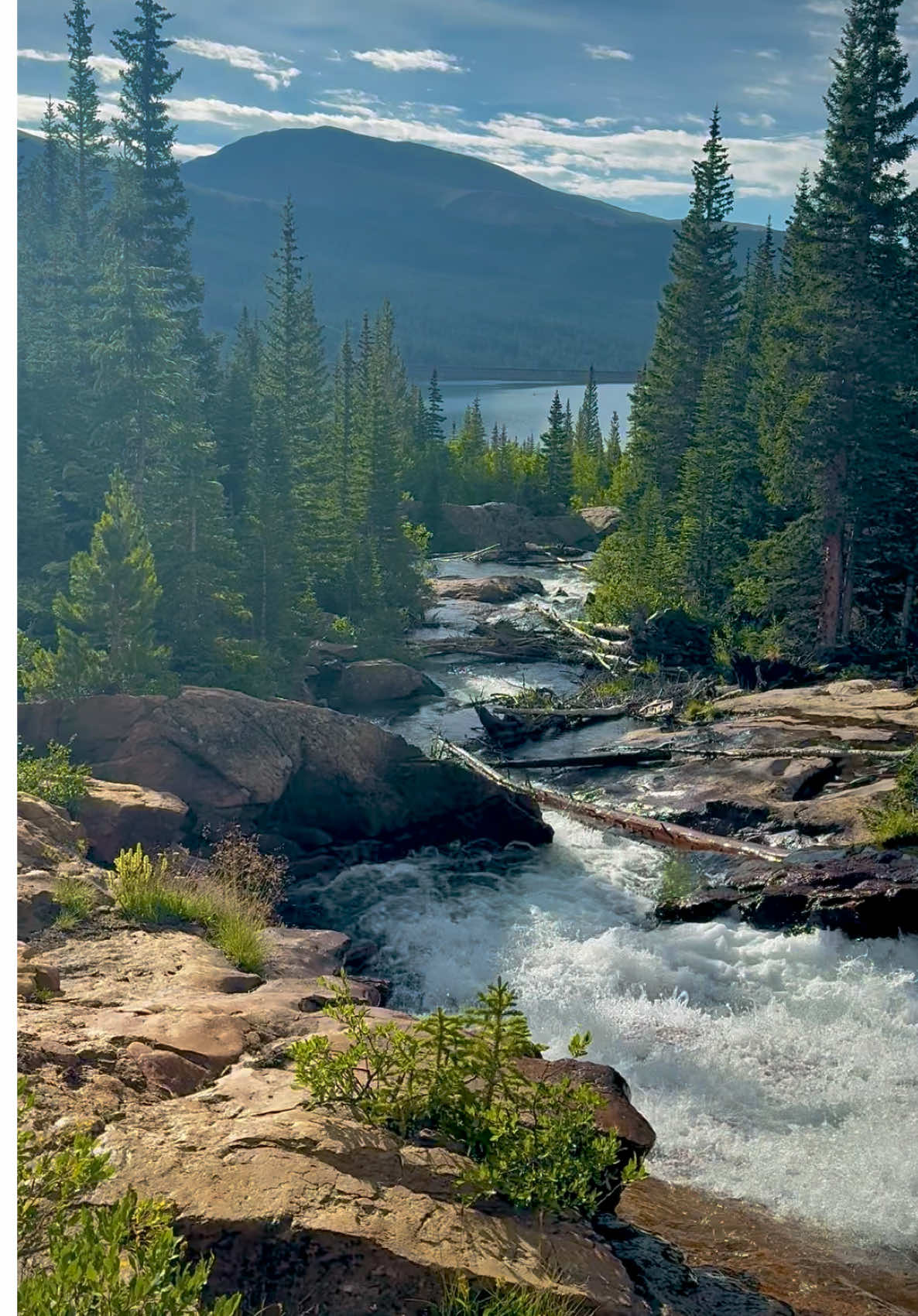 Let's go on a hike #yoshi_bell #mountains #hike #explore 