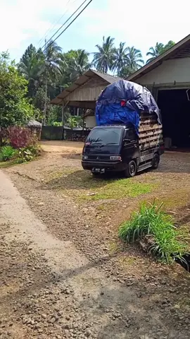 Siap menerima segala info #pickupherexstyle #herextiktok #pickupstory🚀 #fypシ゚viral #pesonadrivermuda 