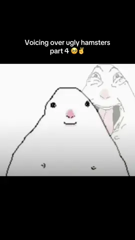 By VERY popular demand #hamster #fyp #meme #funny #voiceover @sarah are you happy now 😖😖💔💔