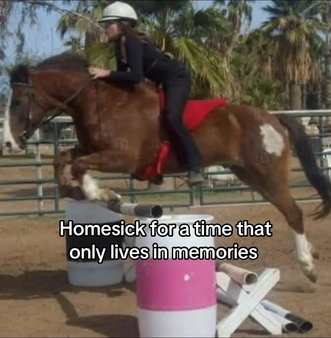 Cookie! My childhood pony 💕🫶 he really taught me so much ❤️ he was a -N mustang! (100% wild Navajo boy 🥰) made me truly appreciate and learn respect for these creatures at a young age ❤️ I was 10? 11? in this picture 🥲 I had always prayed to be able to experience a horse like him in my adulthood and idk… Vigo and Cookie have SO many similarities it makes me smile 🥹 I’ve been truly blessed to experience so many horses in my life. I’m forever grateful and thankful that I can call Vigo my forever heart horse but cookie will always have a spot in my heart 💜 #mustanghorses #showjumping #equestrian #horses #equestrianlife 