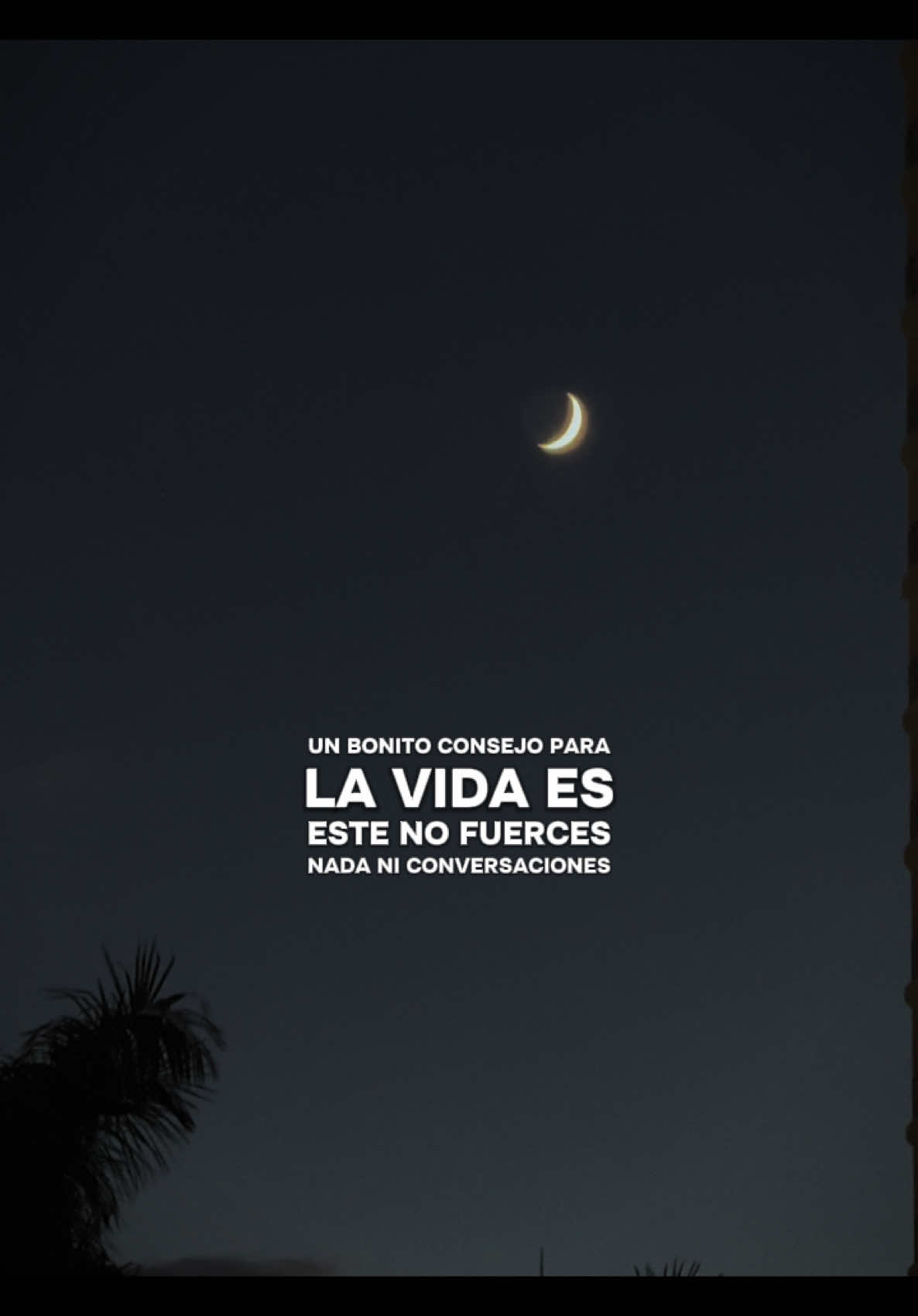 Un bonito consejo para la vida es este! #larealidad #reflexiones #inspiracion #mentalidad #pensamientos #consejos #vida #superacionpersonal #fluye #frases #shelby #tomasshelby 