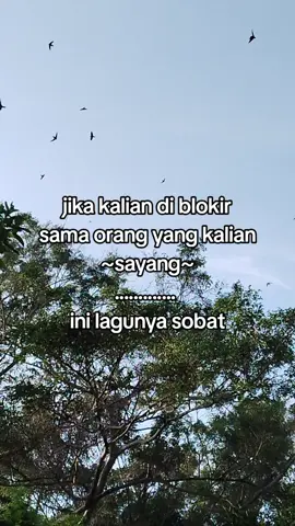 tolong jangan blokir #fypppppppppppppp 