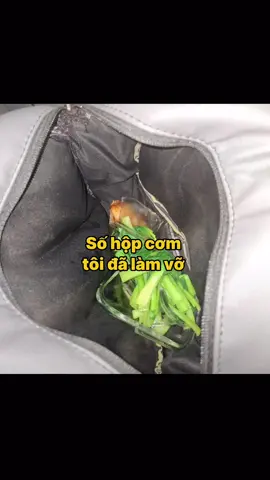 Hộp cơm văn phòng bể 1 đổi 1 nha mọi người #hopthuytinhchiunhiet #hopthuytinh #glasslock #hopcomvanphong 