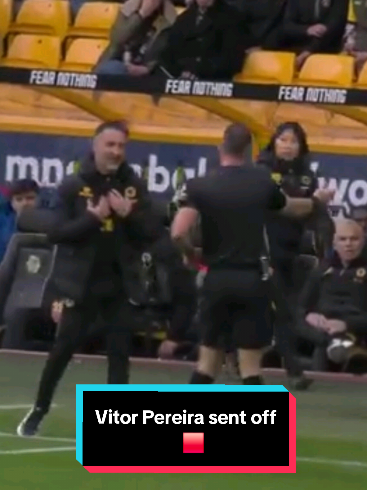 Vito Pereira has been sent off against Brighton. Comments made towards the Referee. #wolvesfc #WWFC #footballtiktok #redcard #vitorpereira 