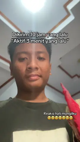 Untung punya ayam jadi nga sepi deh