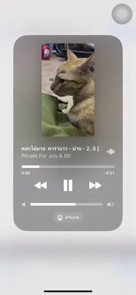 ພັດໄປຕາມກະແສລົມ🍃@🔥JOLY_VPS🔥 #เทรนวันนี้มาแรง 