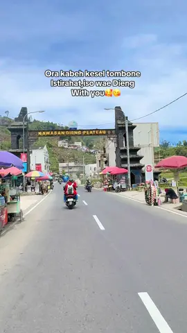 Dieng bikin candu😍😘#fyp #dieng #diengplateau #4u 