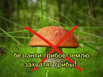что-то со мной не так в последнее время, я думаю что в этом виноваты грибы#гриб #грибызло #антигрибы #движение #против 