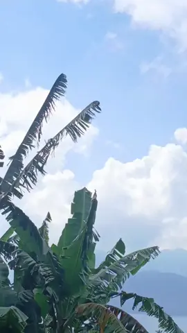 karlota! #ternate_malukuutara #lelilefsawai #iwiphelmkuning #ternate #wedabaynikel🇲🇨🎌 
