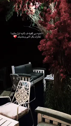 متعلق قلبى أنا بمكان ❤️‍🩹#CapCut #alexandria #capcutvelocity🌹❤️ #هواجيس #هاشتاق 