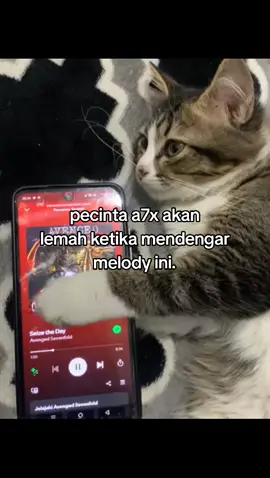 bawaan nya pengen nangis ey😭 #avengedsevenfold #melody #xybca #bismillahfyp #seizetheday 