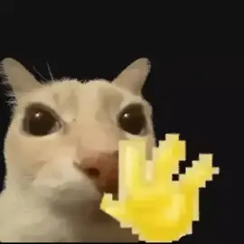 Bro está acenando para você, para acenar de volta use 