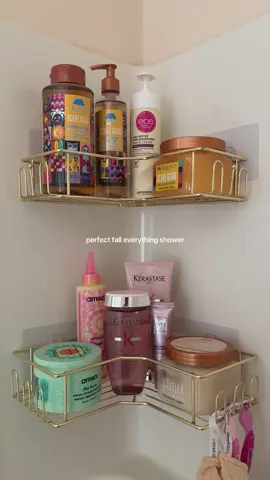 finally time to smell like apple cider and vanilla!! 🍂 @Tree Hut  #everythingshower#fallaesthetic#aesthetic#showertok#showerorganization