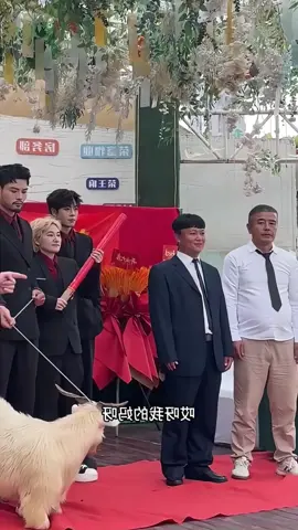 Funny trainee#fyp #funny #foryou #trainee #happylike 