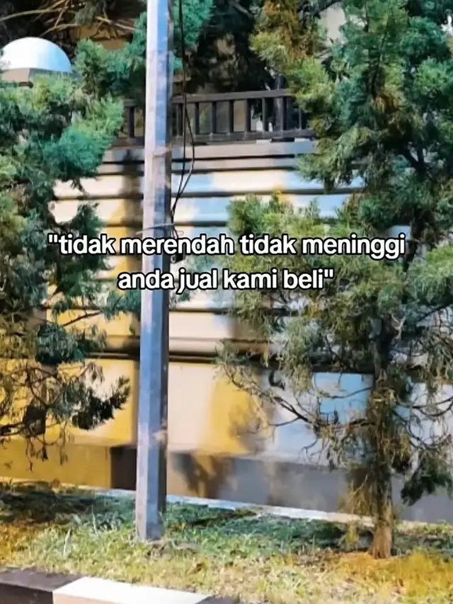 #rnr07jumpalibas #medan #rnrbinjai×pardede #jumpalibas🔴⚫merah 