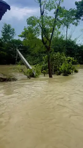 सचेत रहौ सुरक्षीत राहौ🙏🏻 #flood #Manpur #Sarlahi 