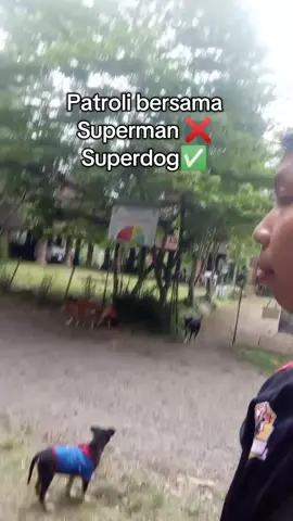 Ketika patroli bersama superhero ya gini wilayah aman terkendali 😁#superman #superdog #patrolihutan #hariini #mangjalu_11 