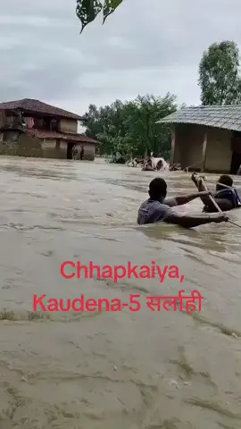 बाढी सर्लाहीको  #goviral  #ktmmuser🇳🇵  #sarlahimuser  #prem_upreti 